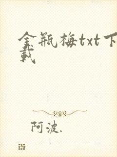 金瓶梅txt下载