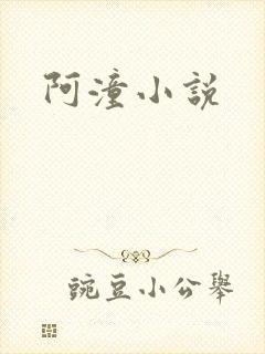 阿潼小说