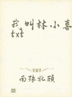 我叫林小喜小说txt