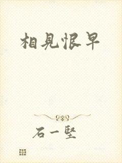 相见恨早封面