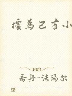 据为己有小说