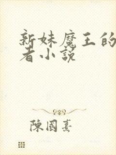 新妹魔王的契约者小说