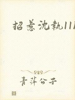 招惹沈执11h