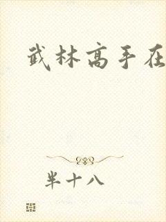 武林高手在异界