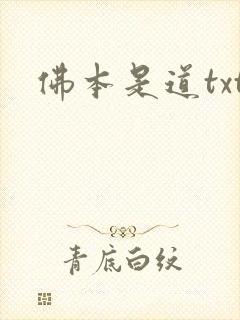 佛本是道txt封面
