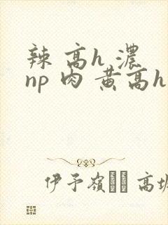 辣 高h 浓 np 肉 黄高h
