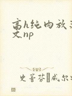 高h纯肉放荡h文np