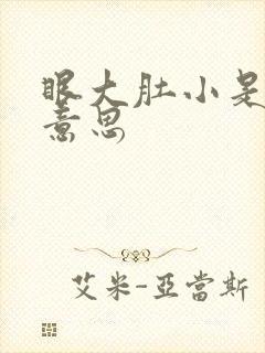 眼大肚小是什么意思封面