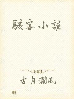 骇客小说