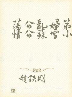 荡公乱妇第1章情公苏雪小说