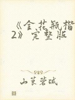 《金花瓶楷梅花2》完整版