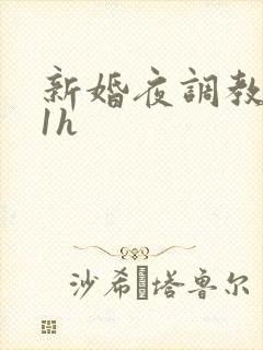 新婚夜调教1v1h封面