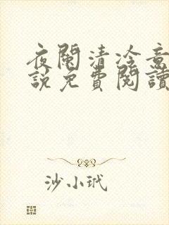 夜阑清冷意欢小说免费阅读