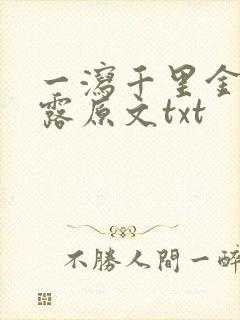 一泻千里金银花露原文txt
