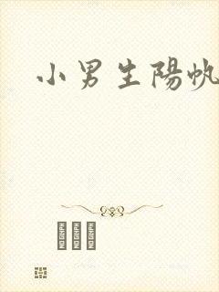 小男生阳帆