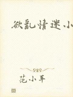 欲乱情迷小说