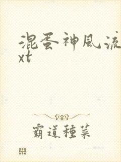 混蛋神风流史txt
