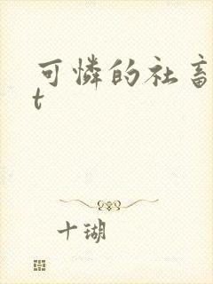 可怜的社畜txt