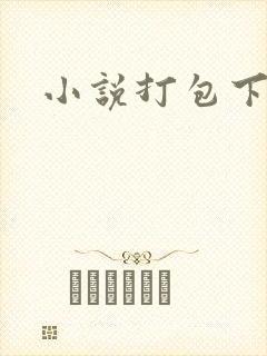小说打包下载