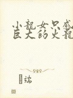 小龙女只感觉那巨大的火龙枪