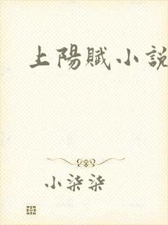 上阳赋小说