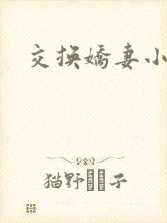 交换娇妻小说封面
