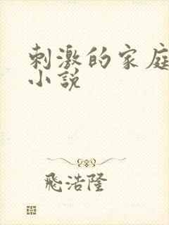 刺激的家庭乱仑小说