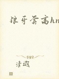狼牙套高hnp封面