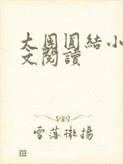 大团圆结小茹全文阅读封面
