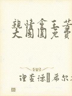 亲情会王芳高敏大团圆免费阅读