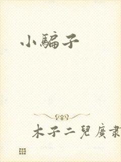 小骗子