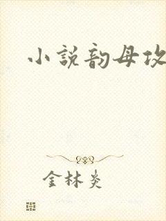 小说韵母攻略封面
