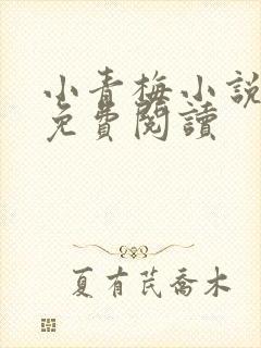 小青梅小说全文免费阅读封面