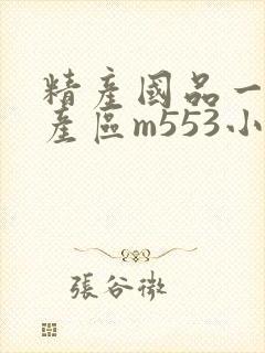 精产国品一二三产区m553小说封面