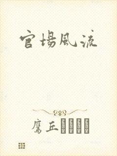 官场风流封面