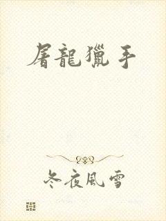屠龙猎手