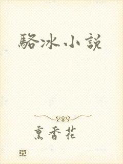 骆冰小说