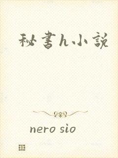 秘书h小说