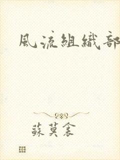 风流组织部长封面