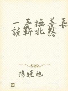一手抚养长大小说靳北然