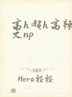 高h超h高辣h文np