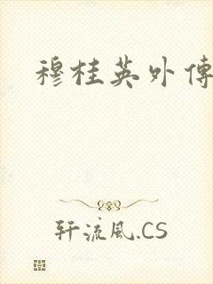 穆桂英外传