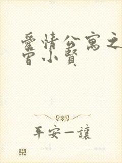爱情公寓之极品曾小贤