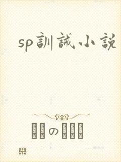 sp训诫小说
