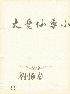 大爱仙尊小说