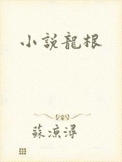 小说龙根封面