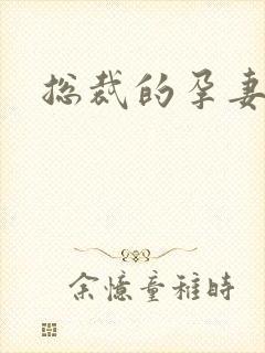总裁的孕妻