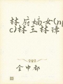 林府嫡女(npc)林玉林璋