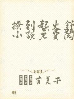 撩到起火舒漾的小说免费阅读全文