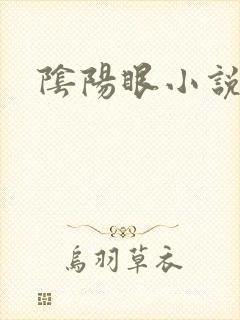 阴阳眼小说